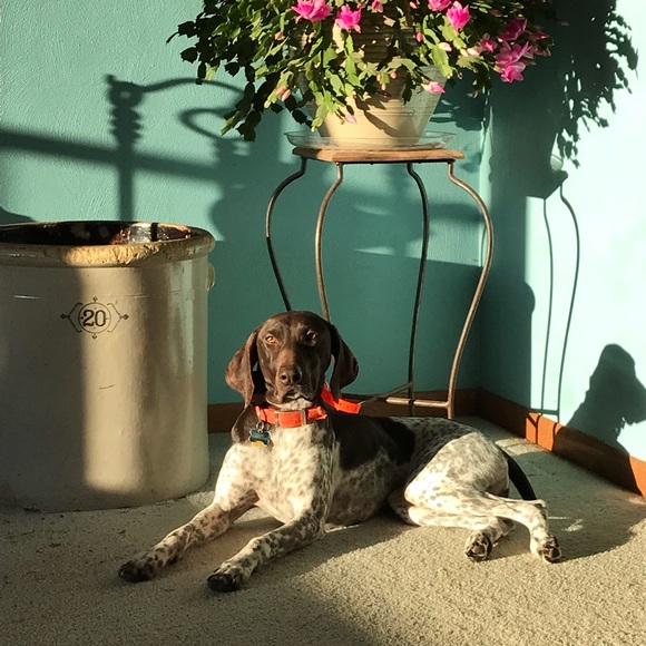 Meet your Posher, Jennifer - Picture 1 of 1